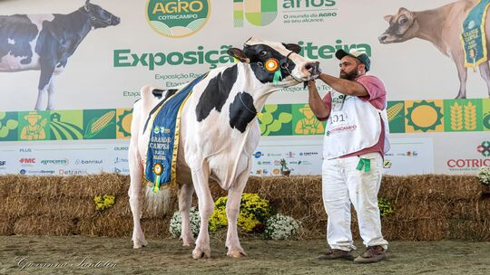 Paraná conquista títulos de destaque na Expoagro Cotricampo, no RS